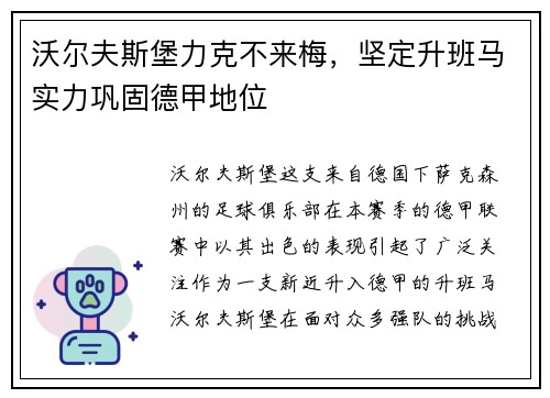 沃尔夫斯堡力克不来梅，坚定升班马实力巩固德甲地位